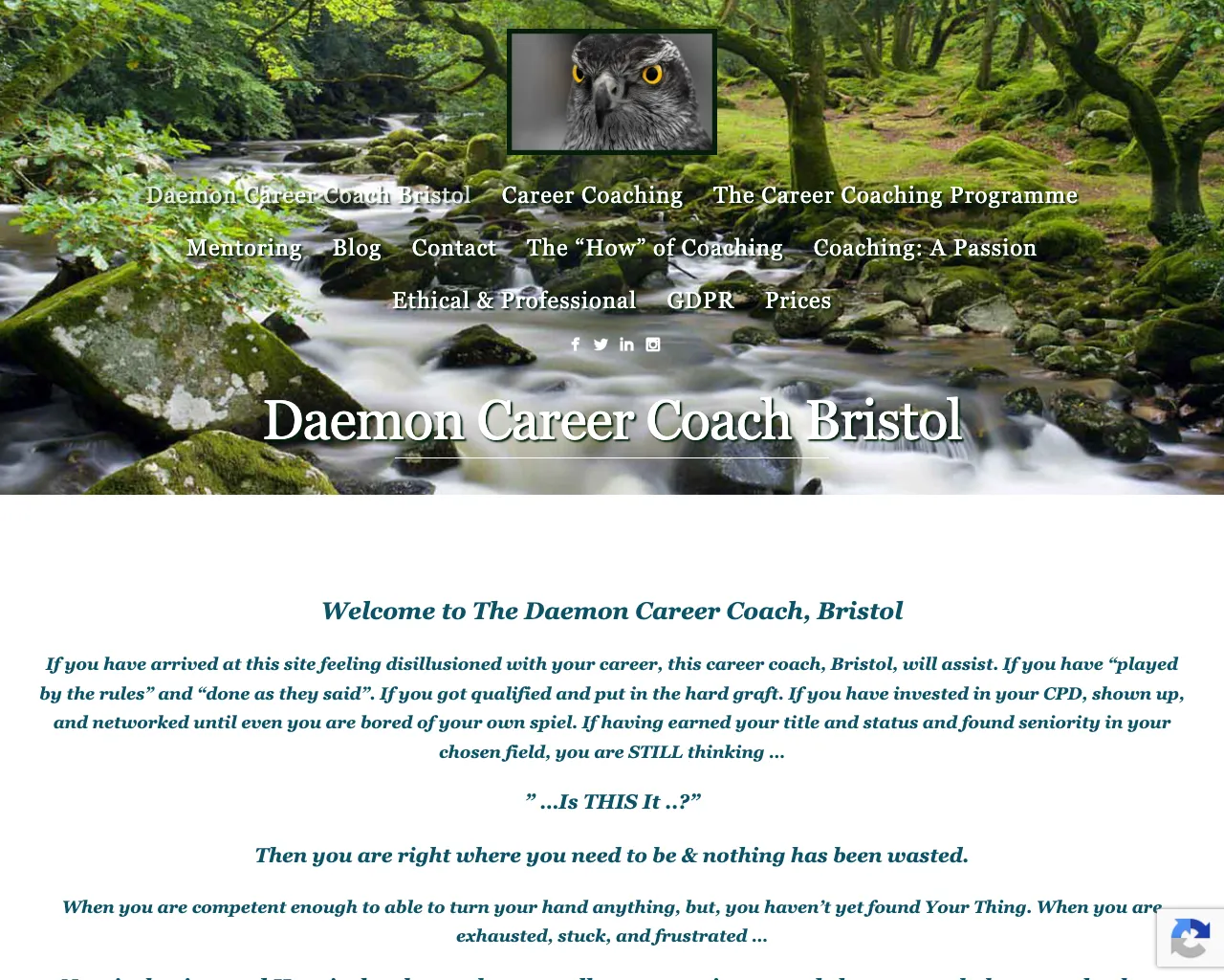 Website screenshot of Daemon Career Coach